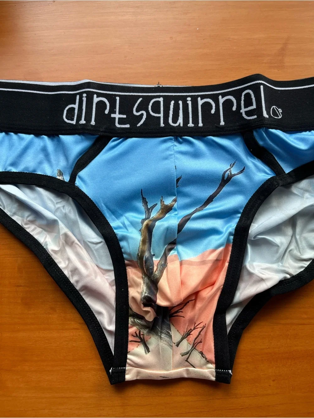 Dirt Squirrel Men’s Desert Graphic Briefs